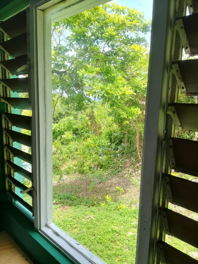 بورت أنطونيو Toga Guest House المظهر الخارجي الصورة