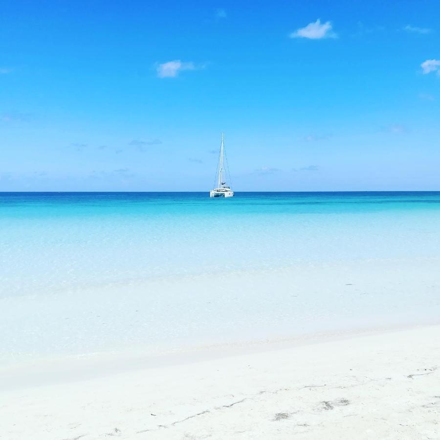 بورت أنطونيو Toga Guest House المظهر الخارجي الصورة